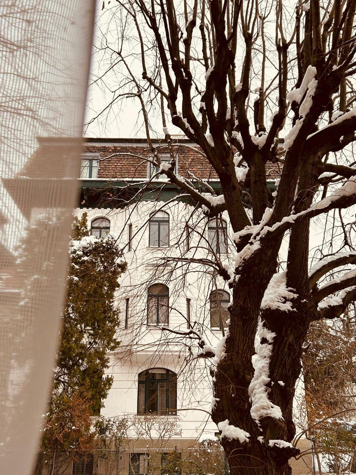 5 Min Schoenbrunn Gloriette, Direct To Center, Free Parking Apartament *